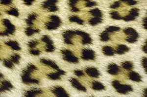Muster Drucke: Flecken des Leopardes