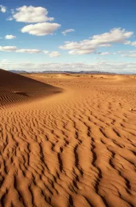 Moroccan Landscape Photography Drucke: MOROCCO - DUNES