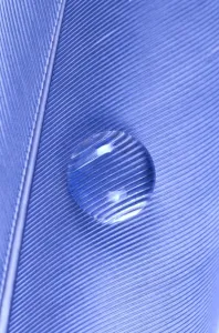 Nature Inspired Prints Drucke: Water Drop on Blue Feather
