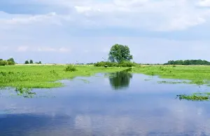 Chris Knights Photography Drucke: Poland Biebrza Marsh