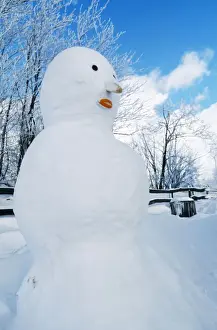 Bilder Datiert 1. Dezember 2007: Snowman