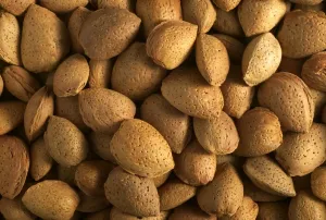 Edible Nuts Drucke: Almonds