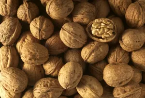 Jean Michel Labat Prints Drucke: Walnuts