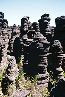 South American Rock Formations Drucke: Venezuela Summit of Roraima