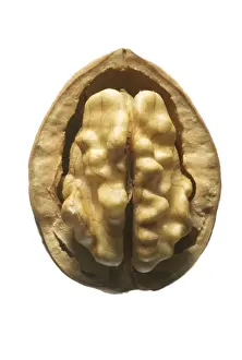 Close Up Walnuts Drucke: Walnuts In shell