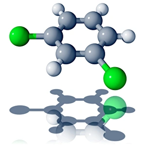 Drucke von 1, 3-Dichlorbenzol. Molekularmodell von 1, 3-Dichlorbenzol ist ein Isomer des Dichlordienstoffs mit zwei Chloratomen an Stelle zweier Wasserstoffatome auf einem Benzolverein Bilder Datiert 2007 September: Molekül des 1, 3-Dichlorgewürzes
