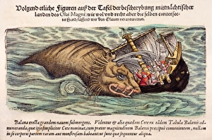 Bilder Datiert 7. November 2011: 1560 Gesner Walangriff auf ein Schiff.
