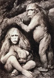 1894 Haeckel Pithecanthropus Affenmensch Ernte