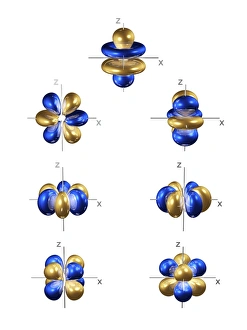 Electron Orbital Shapes Drucke: 4f electron orbitals, general set