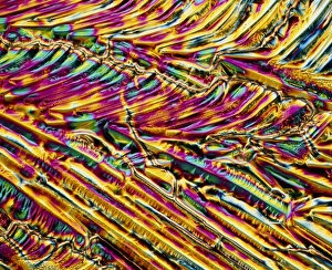 Polarized Light Microscopy Drucke: a6180359