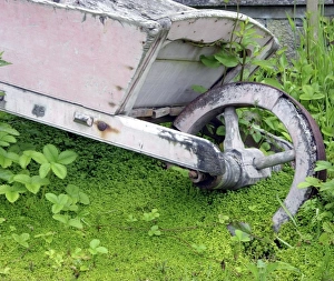 England Landscape Drucke: Abandoned wheelbarrow