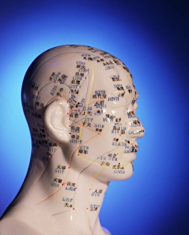 Traditional Chinese Medicine Drucke: Acupuncture chart on a cast of a head and neck