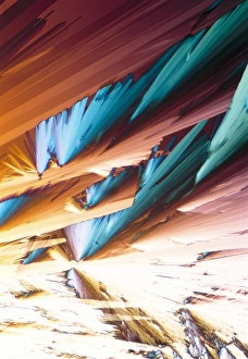 Polarised Light Microscopy Drucke: Adenosine crystals, light micrograph