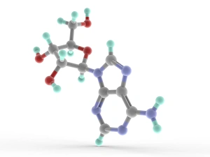Molecular Biology Images Drucke: Adenosine molecule