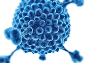 Drucke von Der Adenowirus. Ein Computerskizze eines Adenowirus mit der Oberflächenstruktur des Virenaußenschirms (Kapsid) Bilder Datiert 2010 August: Adenoviruss, Kunstwerk