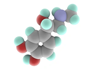 Bilder Datiert 27. Januar 2014: Epinephrinmolekül Adrenalin