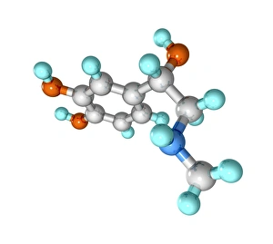 Adrenalin-Hormonmolekül