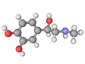 Adrenalin-Hormonmolekül