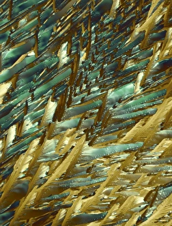 Polarized Light Microscopy Drucke: Adrenaline, polarized light micrograph