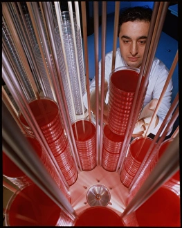 Petri Dish Culture Drucke: Agar filling machine
