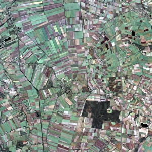 Bourtange Fortress Drucke: Agricultural fields around Bourtange
