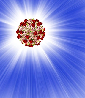 Viral Surface Proteins Drucke: AIDS virus particle, computer artwork