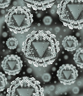 Computer Artwork Viruses Drucke: AIDS virus particles, computer artwork