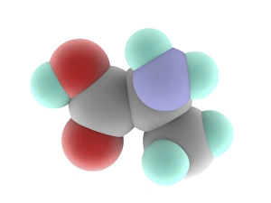 Drucke von Alanin, molekularer Modell. Alphaamino-Säure, die durch den Körper synthetisiert werden kann Bilder Datiert 2012 Dezember: Molekül von Alanin