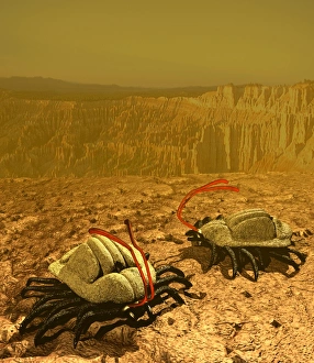 Alien Life Forms Drucke: Alien life form, artwork