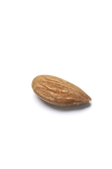 Edible Nuts Drucke: Almond