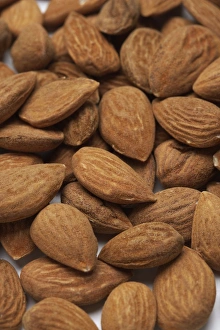 Edible Nuts Drucke: Almonds