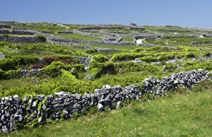 Burren Landscape Drucke: Ancient limestone fields