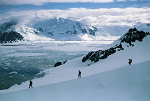 British Antarctic Survey Drucke: Antarctic climbing