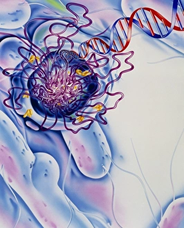 Antibiotik zerstört ein Bakterium