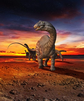 Jurassic Period Animals Drucke: Apatosaurus herd, artwork