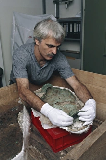 Ancient Celtic Artifacts Drucke: Archaeologist reconstructing a bronze Celtic pot