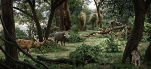 Bilder Datiert 4. April 2013: Die Landschaft des Ardipithekers Ramidus