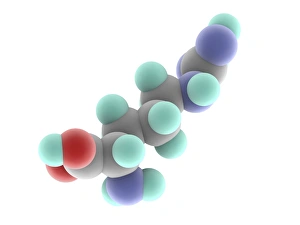 Argininmolekül