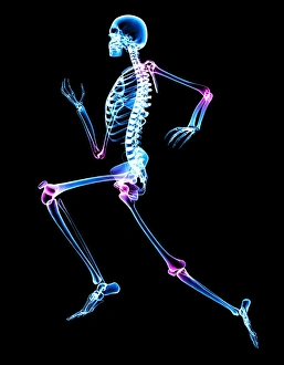 Joint Pain Relief Drucke: Arthritis joints