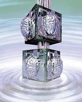 Artificial Intelligence Drucke: Artificial brains