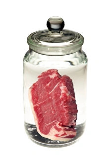 Künstliches Fleisch, konzeptuelles Bild