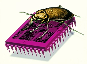 Bilder Datiert 1998 Mai 29 Mai 1998: Kunstwerk des Jahrtausendwebers mit Käfer auf Mikrochip.