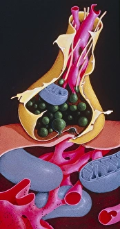 Bilder, datiert 1995: Kunstwerk eines Nervengewebes