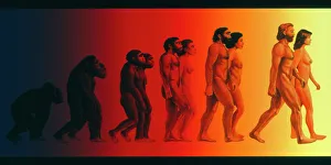 Kunstwerke der Stadien in der menschlichen Evolution.