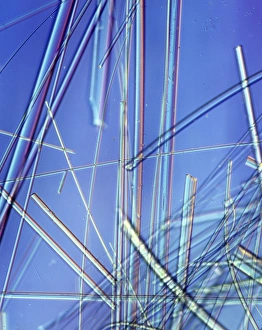 Bilder vom 7. Februar 2013: Asbestfäden, Lichtmikroskopie.