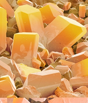 Vitamin C Crystals Drucke: Ascorbic acid crystals (SEM) C013 / 7831