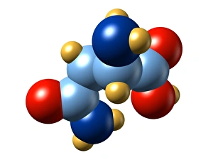 Amino Acid Structure Drucke: Asparagine, molecular model