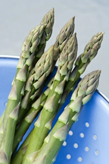 Seasonal Vegetables Drucke: Asparagus spears