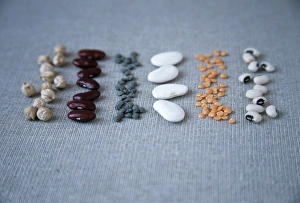 Dry Legumes Drucke: Assorted beans and pulses