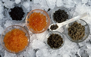 Gourmet Cuisine Drucke: Assorted caviar C014 / 1520